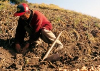 Land Reform a Threat to Criminal Interests in Colombia