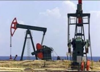 Colombia Rebels Release 5 Oil Workers