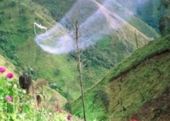 Colombia Suspends Coca Spraying in Northwest Amid Protests