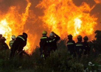 Chile Suspects Radical Indigenous Group Started Wildfires