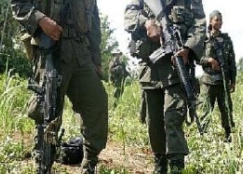 5 Killed in Colombia Hostage Rescue