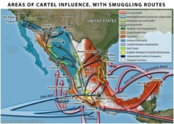 Shifting Alliances Cannot Halt Decline of Mexico Cartels