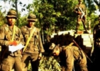 Nicaragua Targets Illegal Loggers with 'Eco-Battalion'