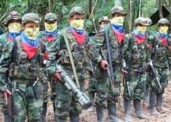 In a Post-Chavez Venezuela, Militant Armed Groups Would Pose Major Threat
