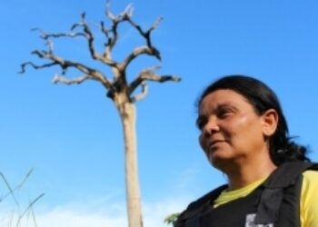 Brazil Activist Flees After Threats From Illegal Loggers