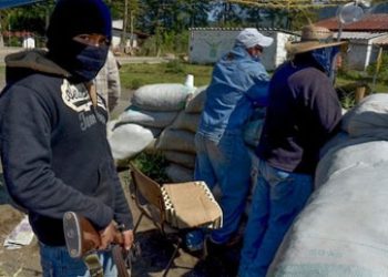 New Vigilante Force Rises in Michoacan, Mexico