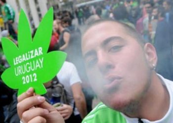 Details of Uruguay's Marijuana Bill Raise Questions of Second-Hand Sales