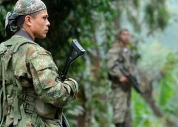 FARC 'Violate Ceasefire': Colombian Military