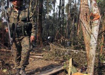 FARC Presence in Ecuador Border Region Diminished: Military