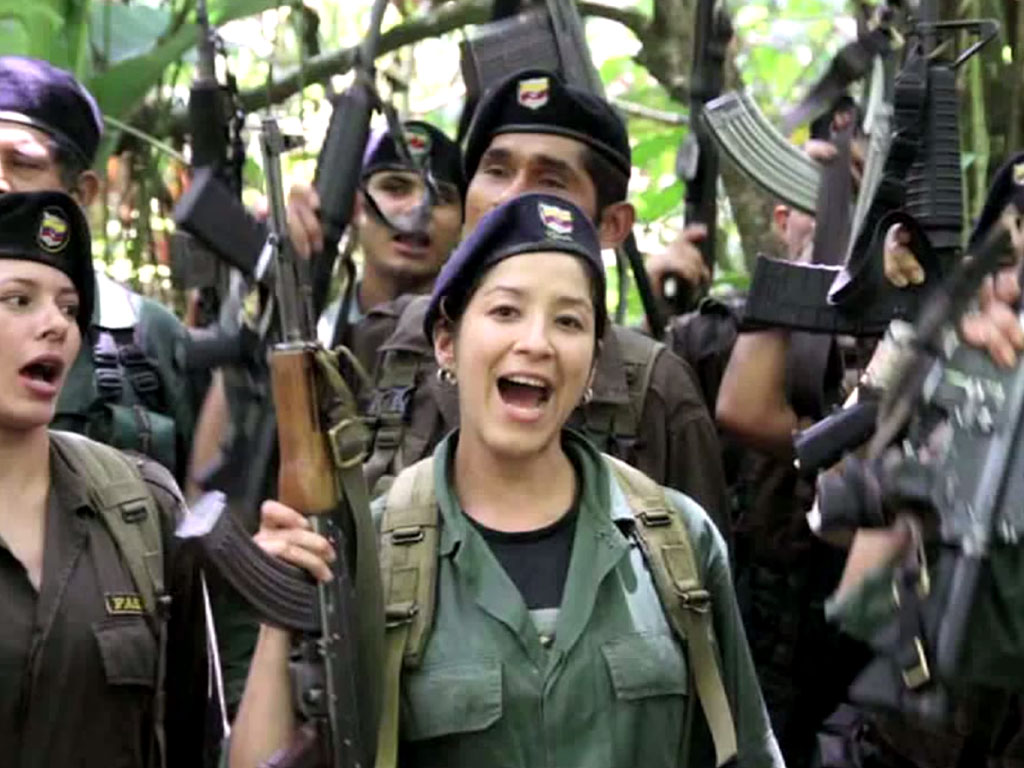 ¿Podría fracturarse la guerrilla de las FARC de Colombia?