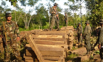 Nicaragua's "green battalion" recover illegal timber.