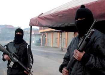 Mexico Govt Absence Opening Way for New Vigilante Groups: CNDH