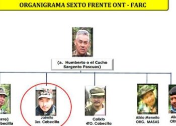 FARC's 6th Front Commanders Killed in Southwest Colombia