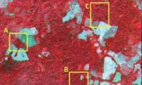 Infrared aerial photograph shows destruction of primary forest