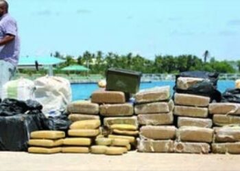 Bahamas Seizes $4 Mn of Drugs in a Week