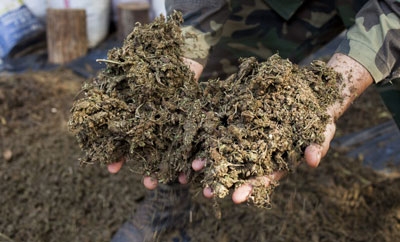 Marijuana confiscated in Paraguay
