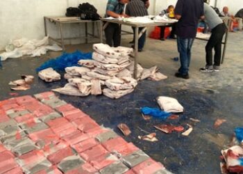 Peru Seizes 4 Tons of Europe-Bound Cocaine at Major Port