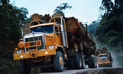 A truck transports timber in Costa Rica