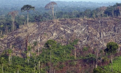 Deforestation in Brazil's Amazon