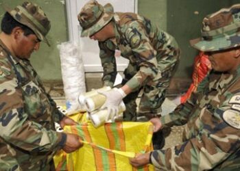 Peru & Bolivia Seek to Deepen Anti-Narcotics Cooperation