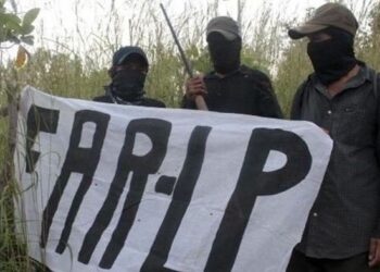 New Mexico 'Guerrilla Army' Backs Self-Defense Movement