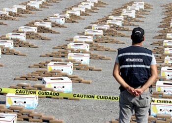 80% of Ecuador Cocaine Hauls Destined for Europe: Anti-Drug Chief