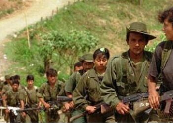 Report Traces How FARC Wages War While it Talks Peace