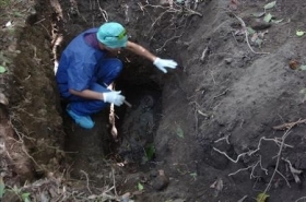Investigators have found 19 bodies so far near Colon