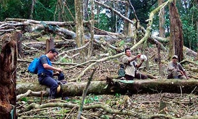 Illegal loggers in Nicaragua's Bosawas Reserve