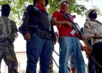 Outside Drug Cartels, Rogue Vigilantes Set Sights on Michoacan