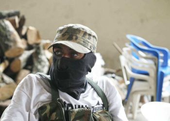 Mexico’s Security Dilemma: Michoacan’s Militias