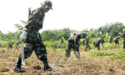 Soldiers eradicating coca in the Chapare region