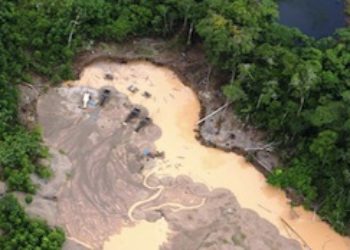 Can Peru Fuel Restrictions Help Combat Illegal Mining?