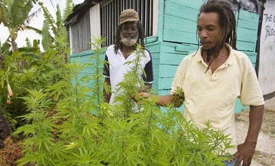 Jamaica's cabinet has approved changes to drug laws