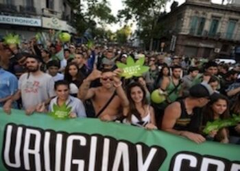 Continued Opposition to Uruguay Marijuana Law a Challenge for Govt