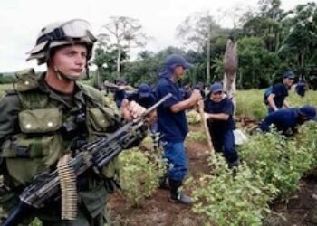 FARC, Colombia Govt Drug Agreement Doomed to Failure?