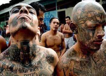 Hidden Meanings of Honduras Mara Gang Tattoos Explained