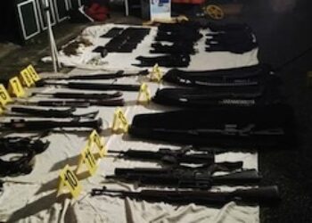 Half the Illegal Weapons in El Salvador Come from US: Official
