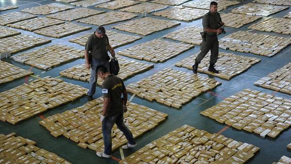 Argentine officials lay out the seized marijuana