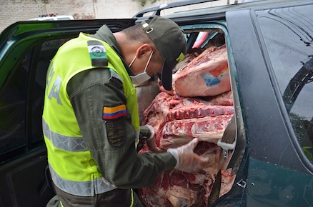 A Colombian policeman with smuggled beef