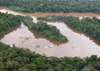 Colombia's FARC Profit from Illegal Gold Mining in Peru