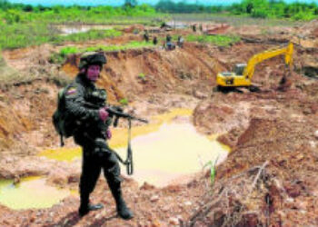 Colombia's Illegal Mining Crackdown May be Too Little, Too Late