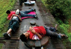 Child migrants on top of a freight train