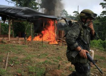 Can Colombia's New Anti-Drug Strategy Halt the Spread of Coca?