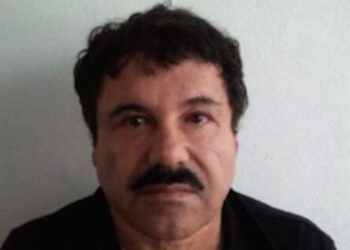 What's Next for Mexico After 'El Chapo' Recapture?