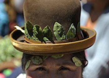 Bolivia Prepares for 2016 Drug Policy