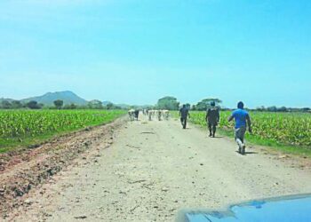 Honduras' Valle Family Stole Huge Swaths of Land: Report