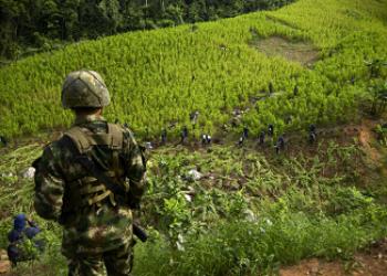 5 Challenges Criminal Economies Pose for Post-Conflict Colombia