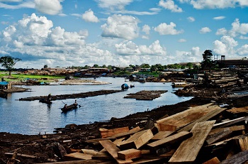 Timber trafficking in Peru