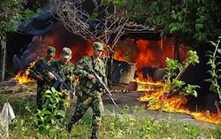 Colombian soliders destroy a cocaine laboratory